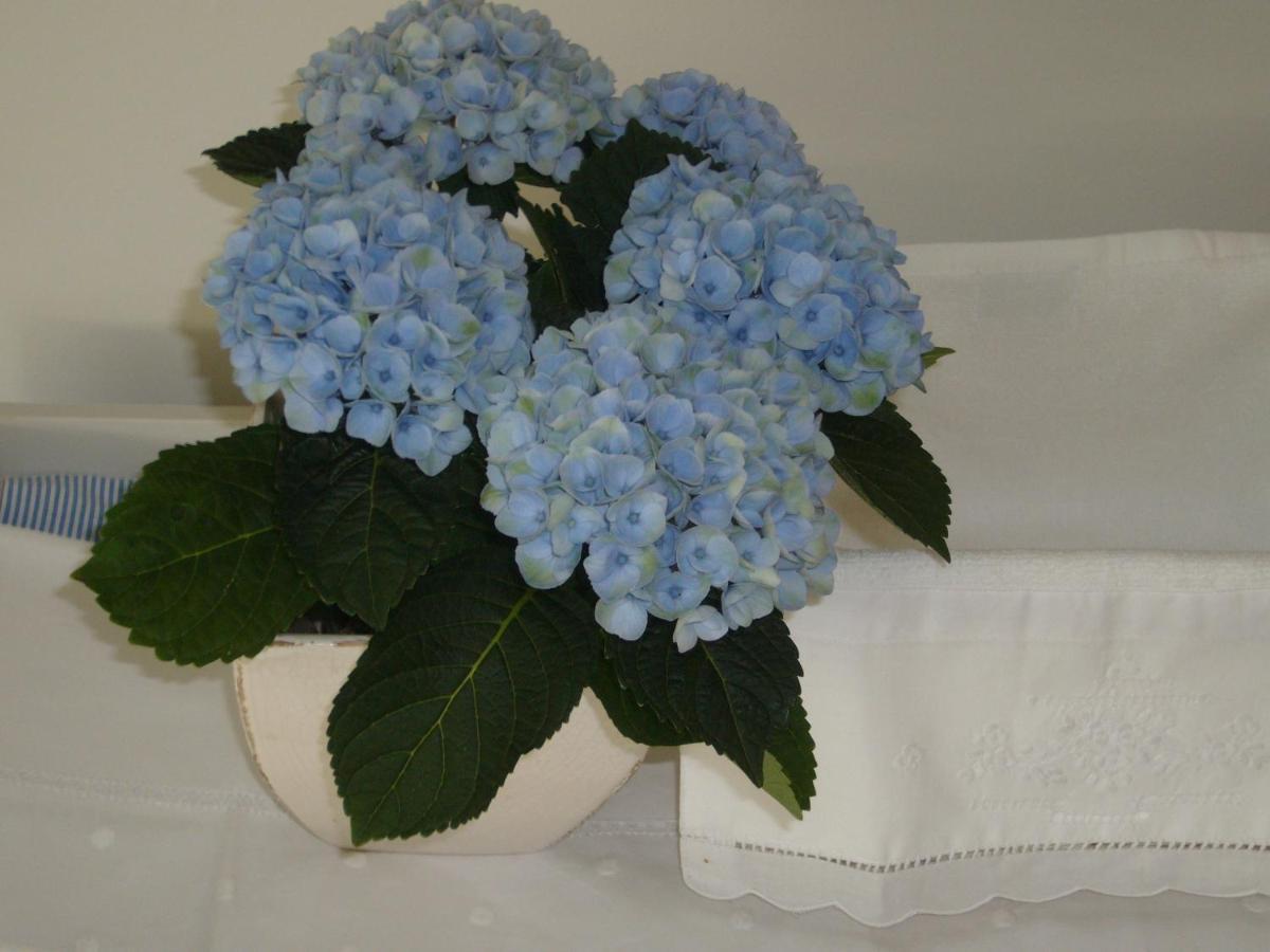 De Moeraseik Bed and Breakfast Zele Εξωτερικό φωτογραφία